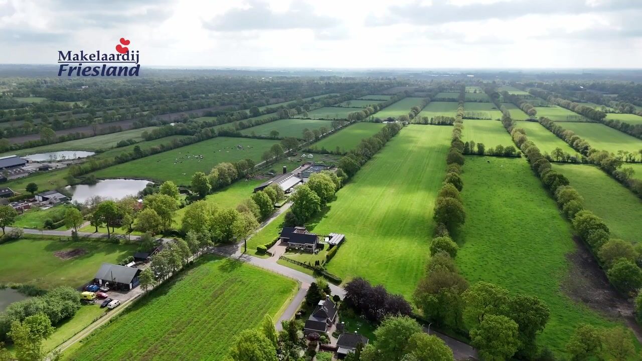 Video of Wyldpaed (Oast) 16