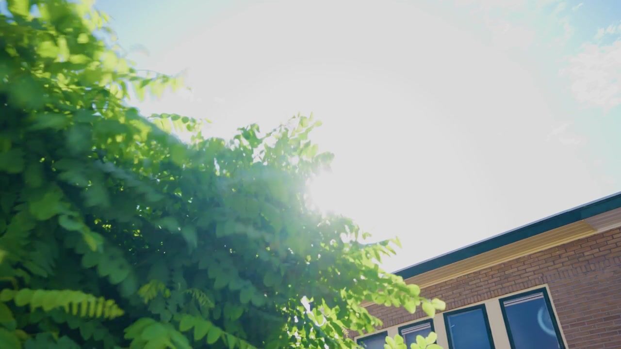 Video of Bloemstraat 59