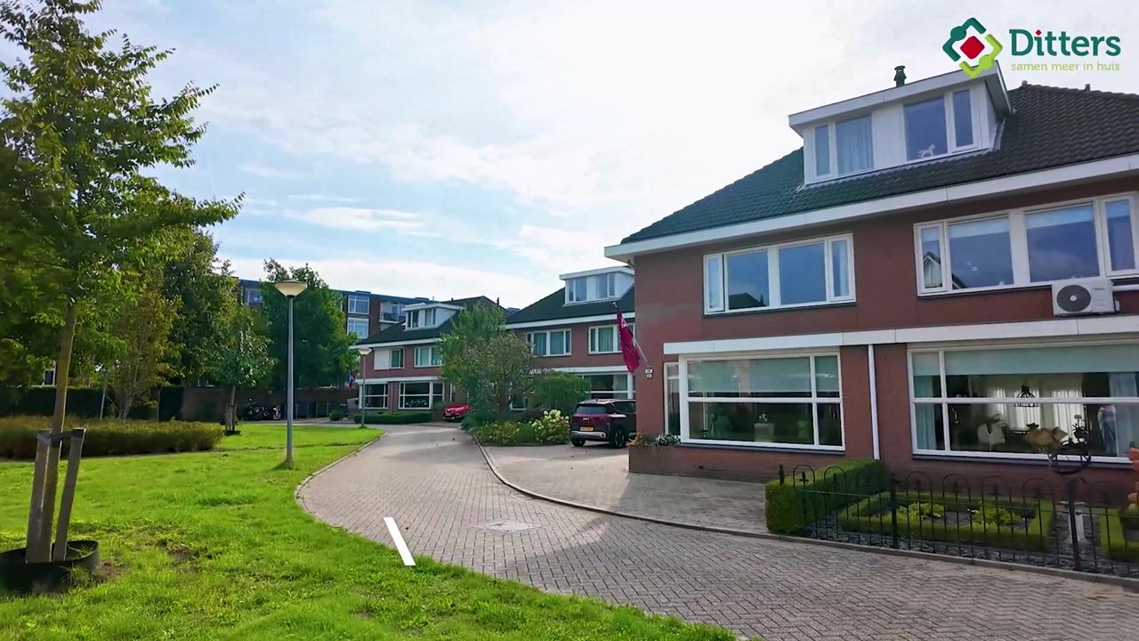 Video van Palmestein 4