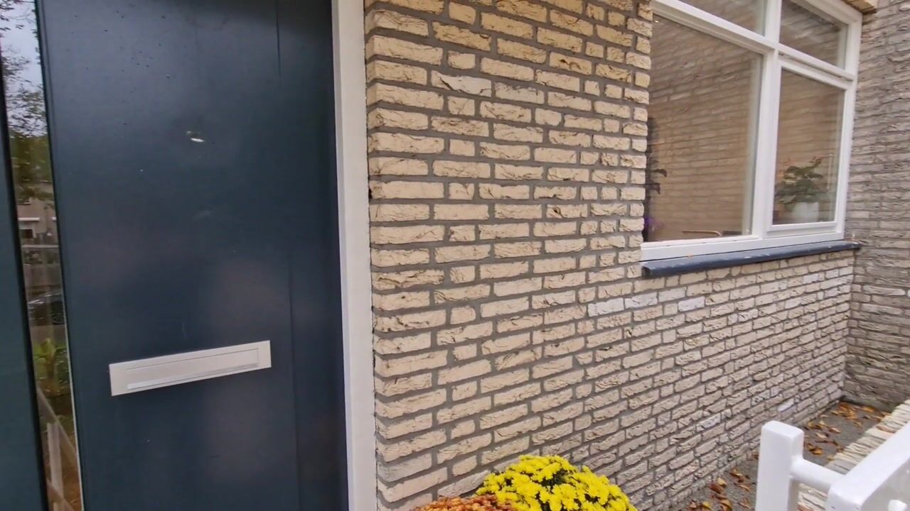 Video van De Nesse 11