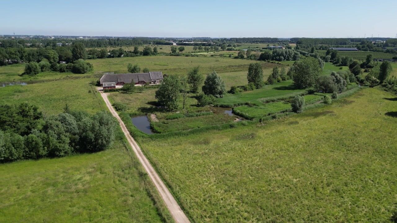 View video of Zwaaksedijk 2