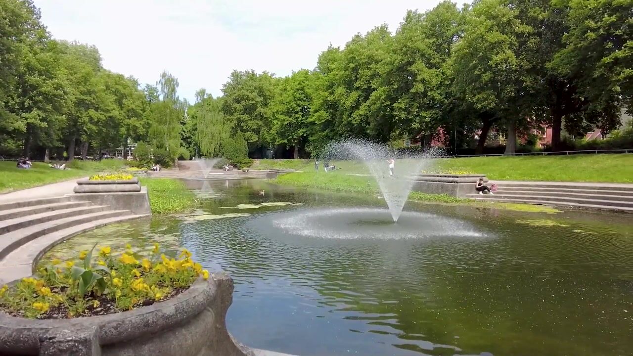 Video of Nassaulaan 6-1