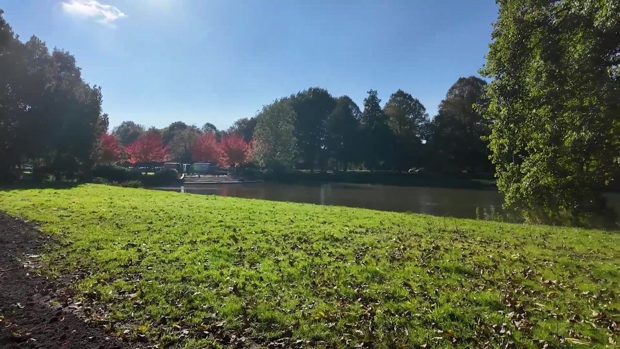 Video of Pioenstraat 191