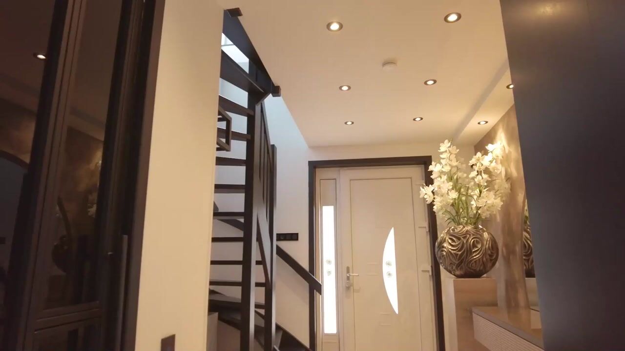 Video of Menkemaborg 55