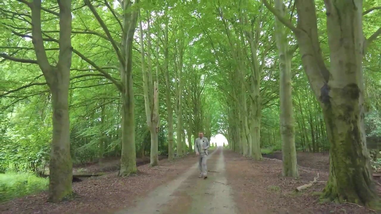 Bekijk video van Rijksweg West 65