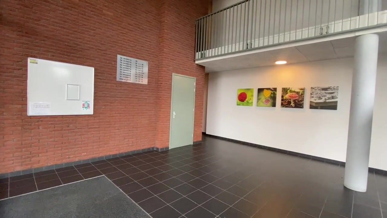 Video van Zijdevlinder 70