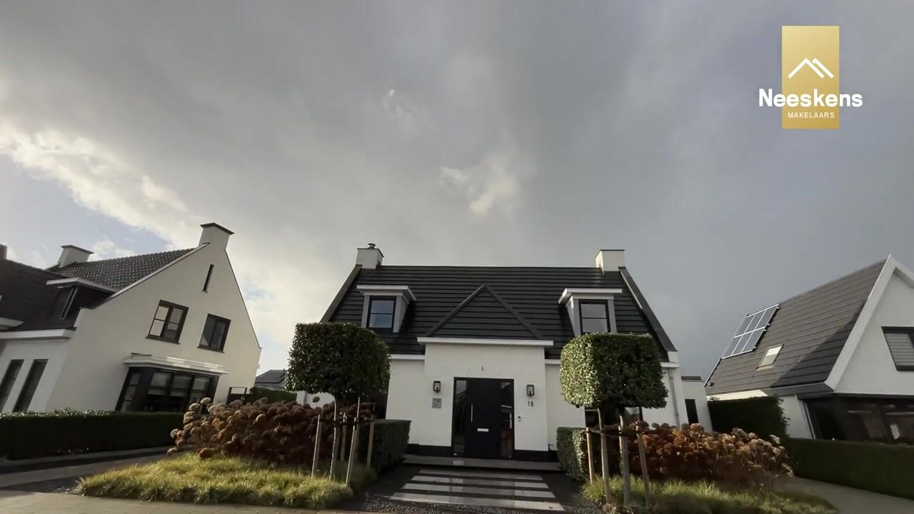 Video of Ferdinand Bollaan 16