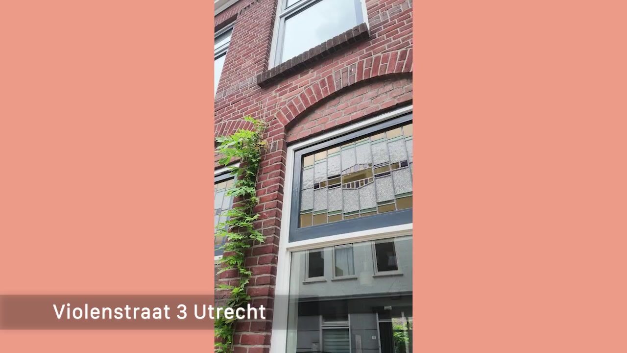 Video van Violenstraat 3