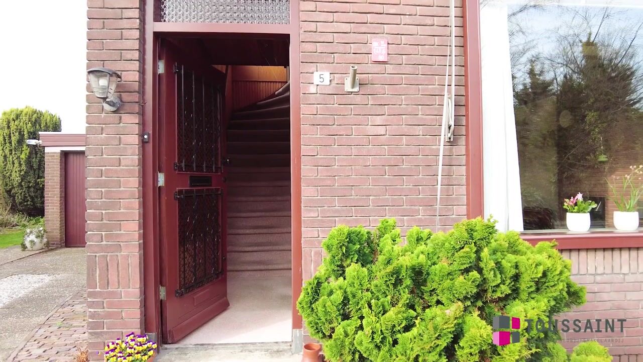 Video of Terpsingel 5