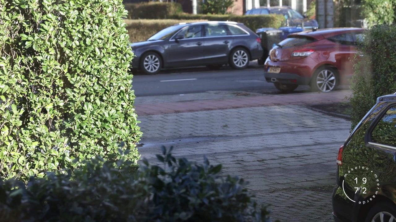 Video of Molenlaan 94