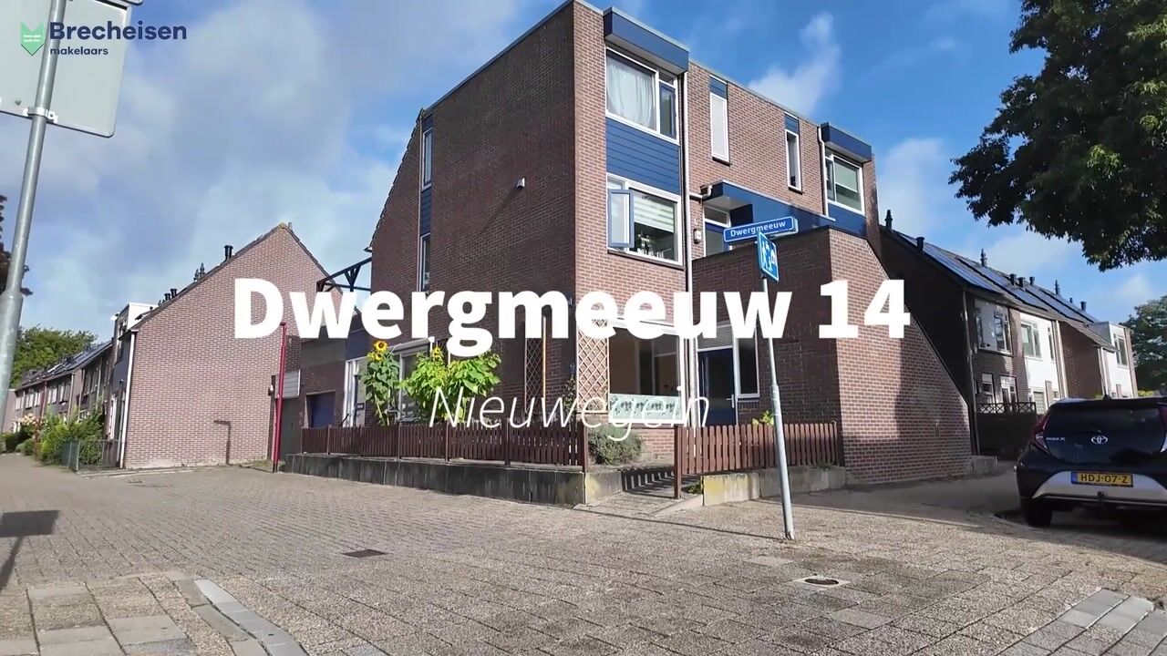 Video van Dwergmeeuw 14
