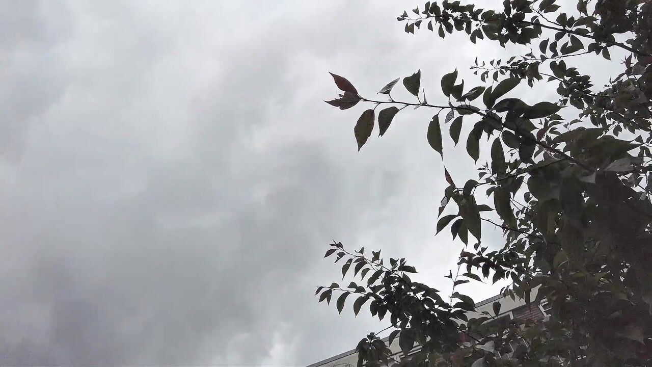Video van Zonnebloemstraat 44-A