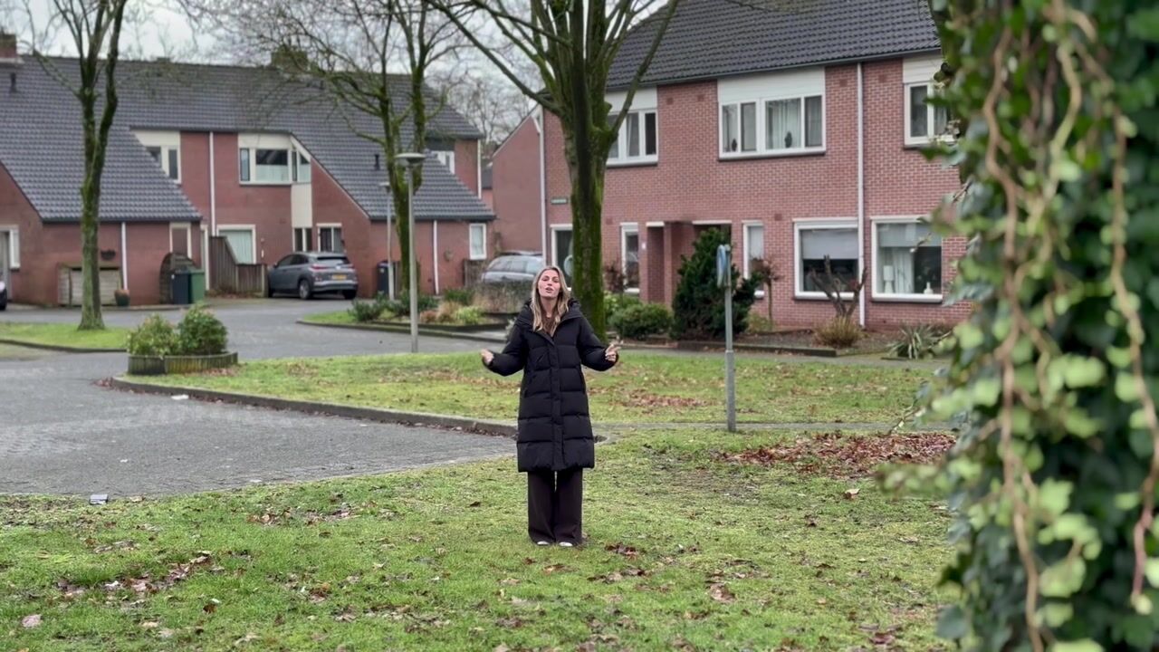 Video van Leeuwebek 54