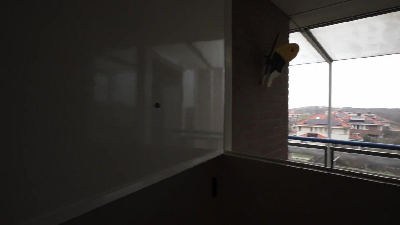 Video van Zwolsestraat 244