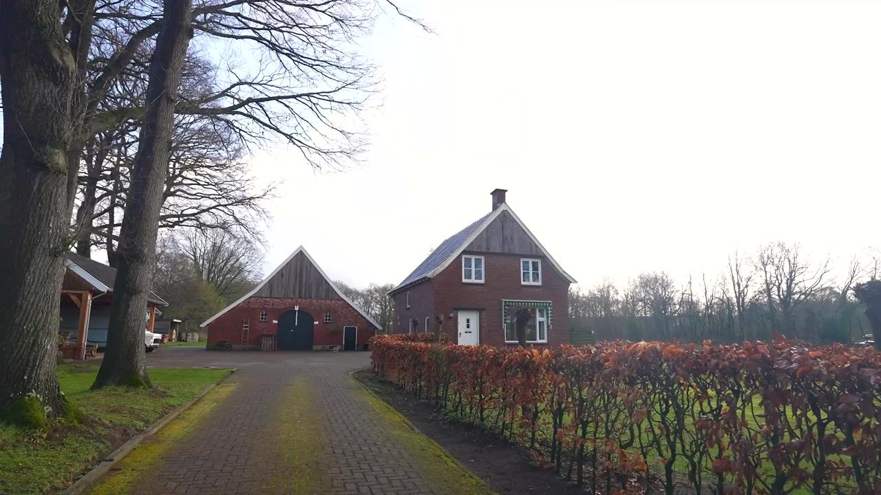 Video van Oude Ootmarsumsestraat 66