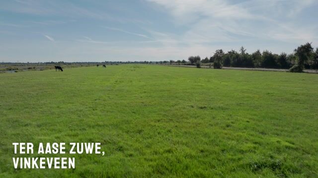 View video of Ter Aase Zuwe