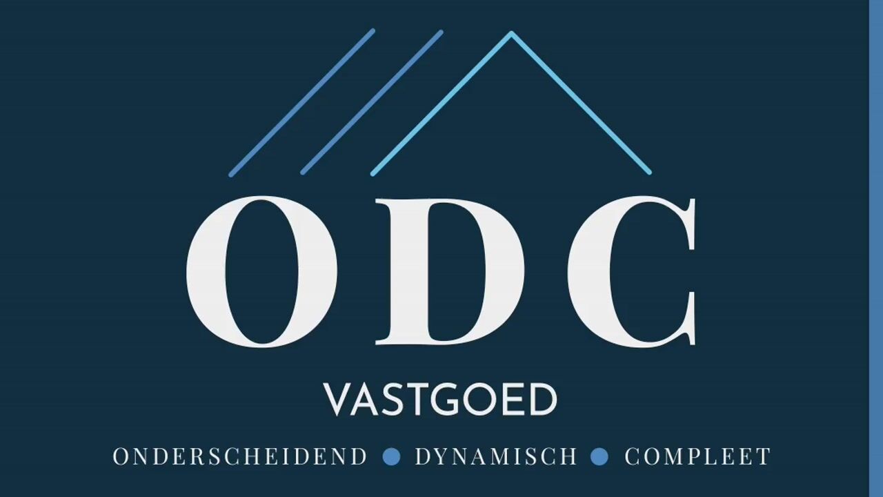 Video van Landsteinerstraat 20