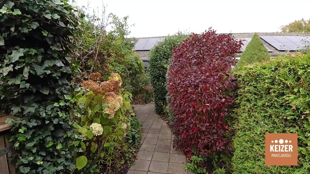 Video van Weverslaan 4