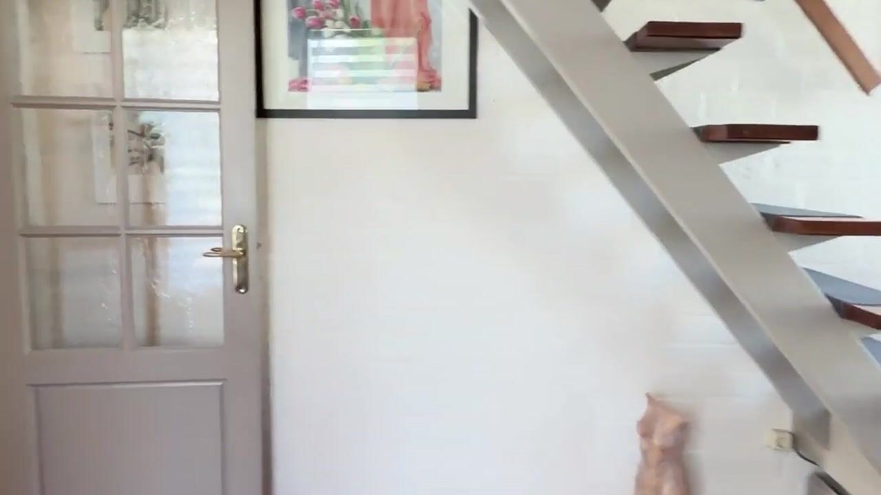 Video van Boonenstraat 21