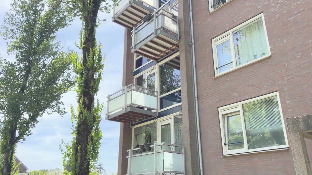 Video van Laan van Blois 8