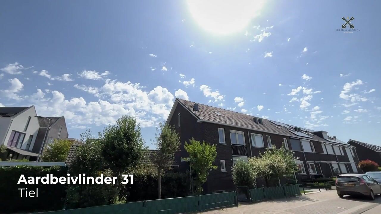 Video van Aardbeivlinder 31