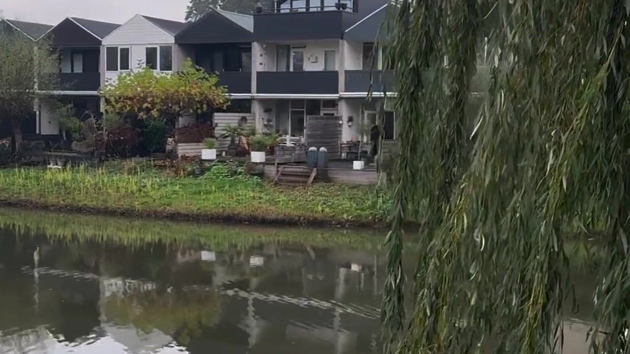 Video of Blokland 21