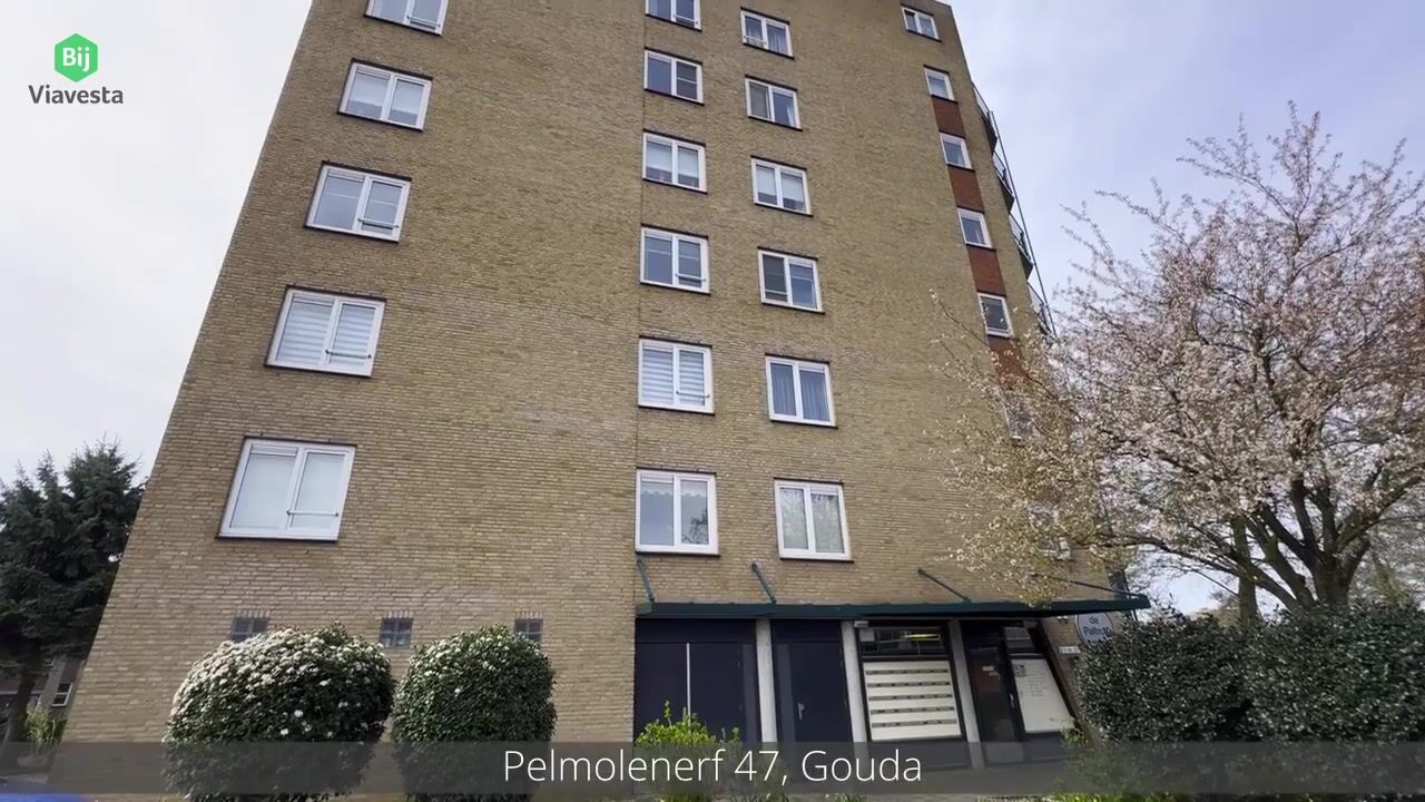 Video van Pelmolenerf 47
