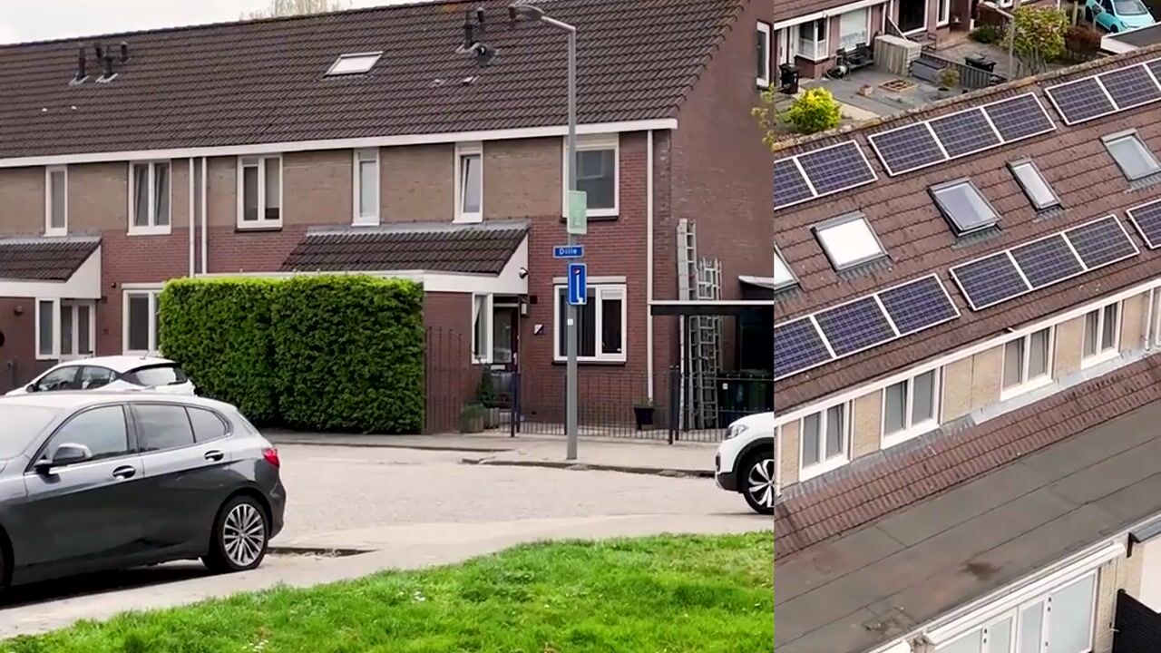 Video van Dille 11