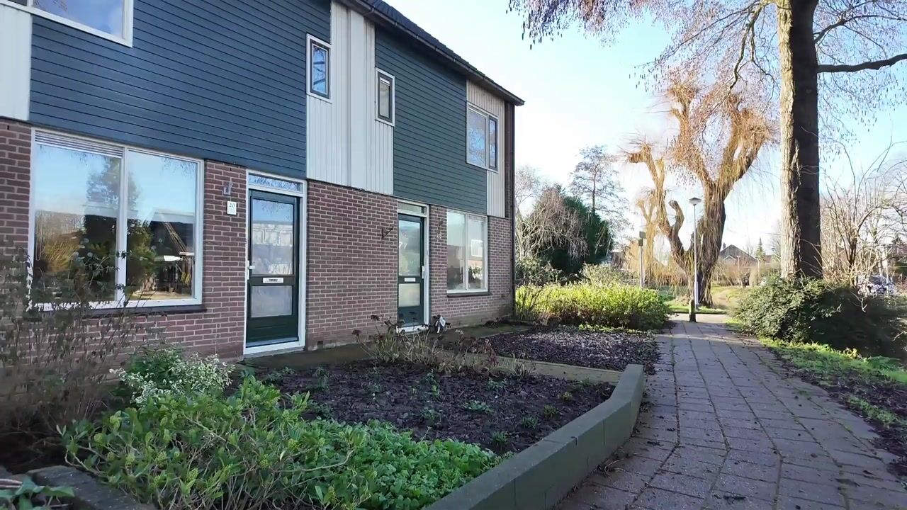 Video van Zanglijster 20