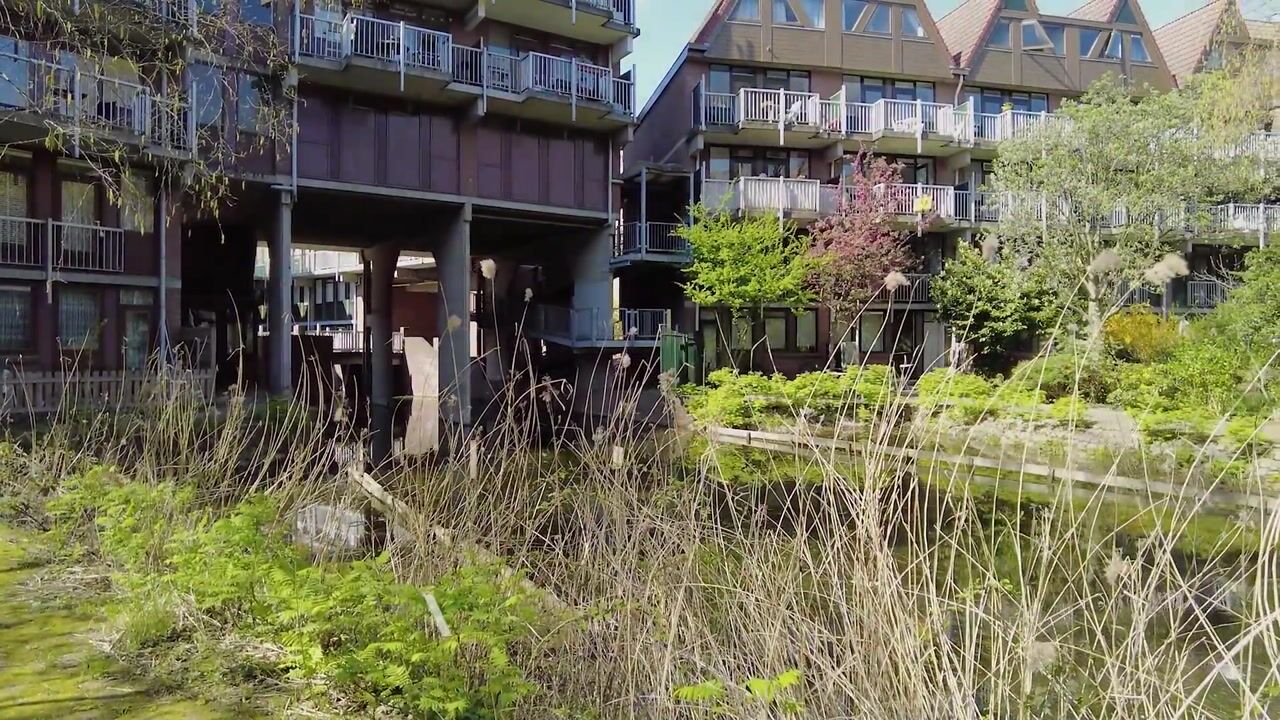 Video van Stroveer 22