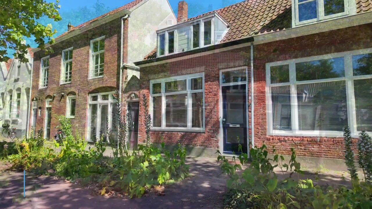 Video van Klein Vlaanderen 31