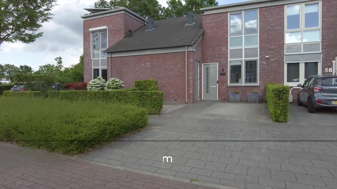 Video of Veenmos 58