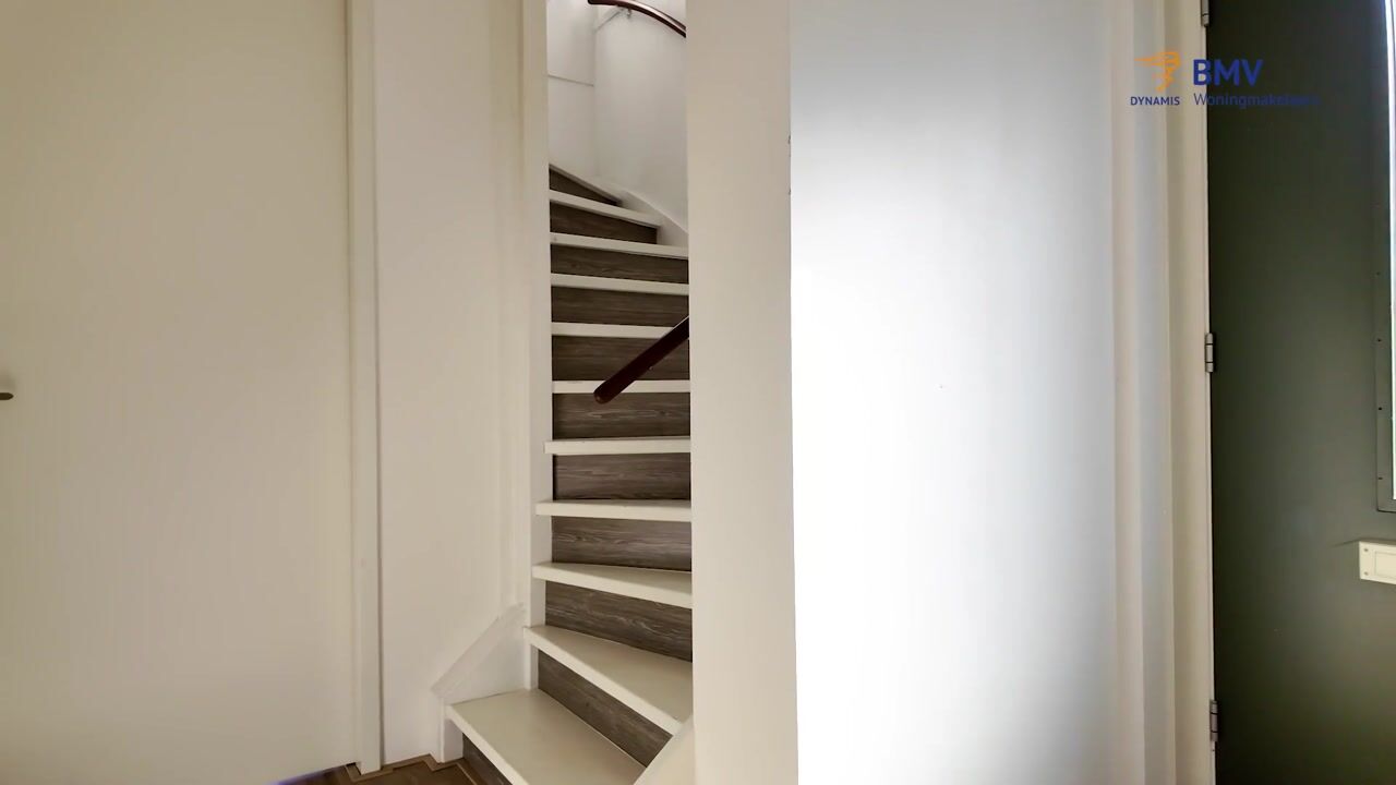 Video van Het Zwin 79