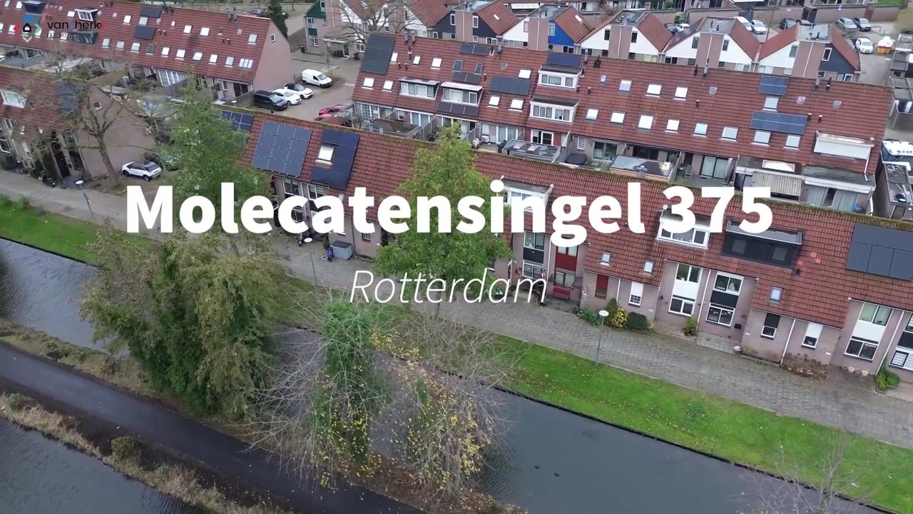 Video van Molecatensingel 375
