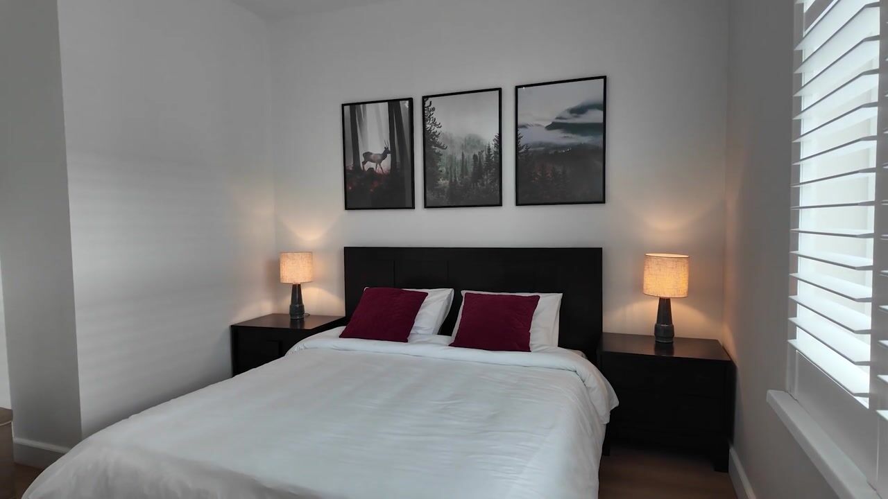 Video van Stuyvesantstraat 219