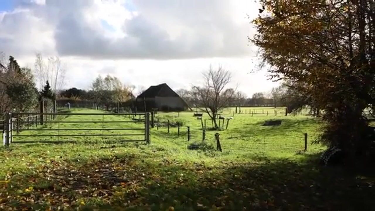 Video van Elsteren