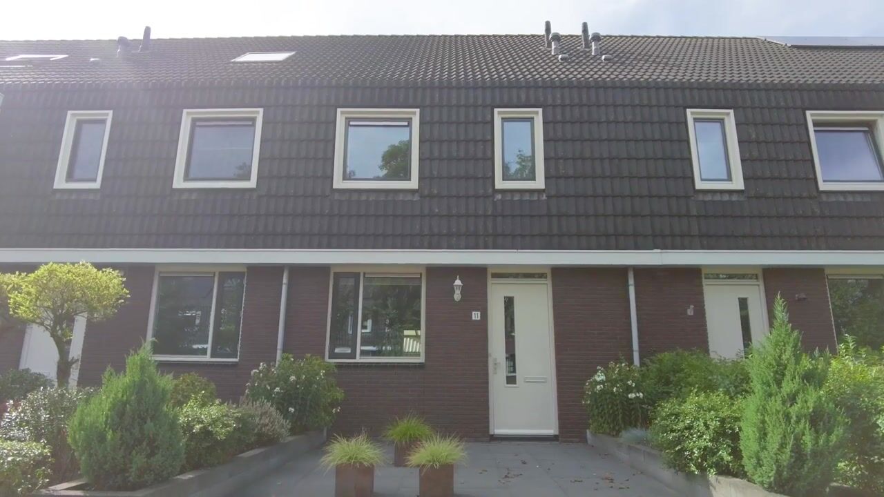 Video van Populier 11