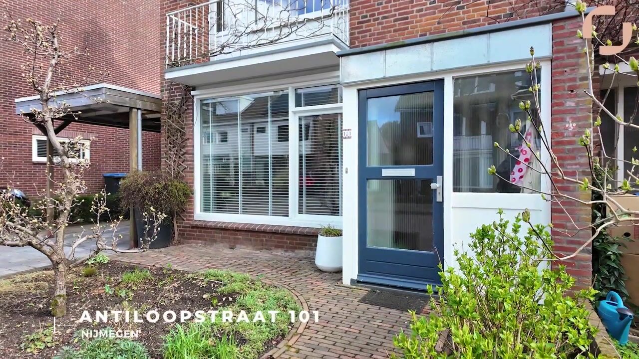 Video of Antiloopstraat 101