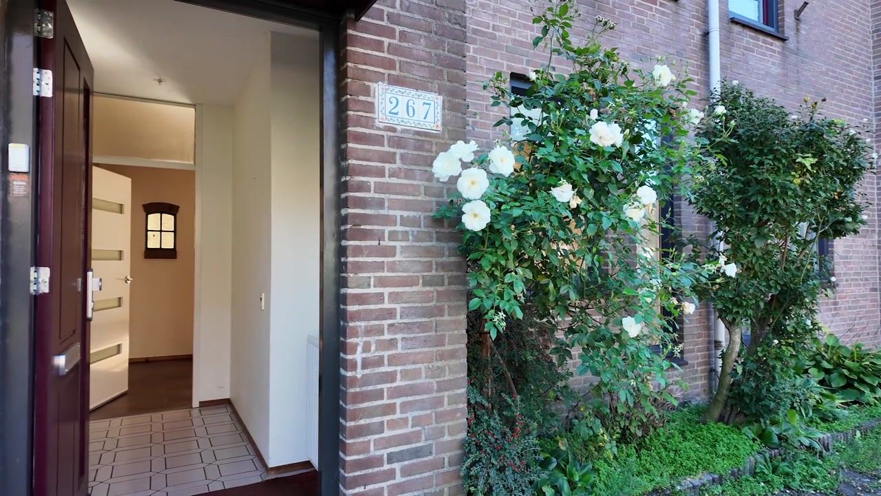 Video van Q.A. Nederpelstraat 267