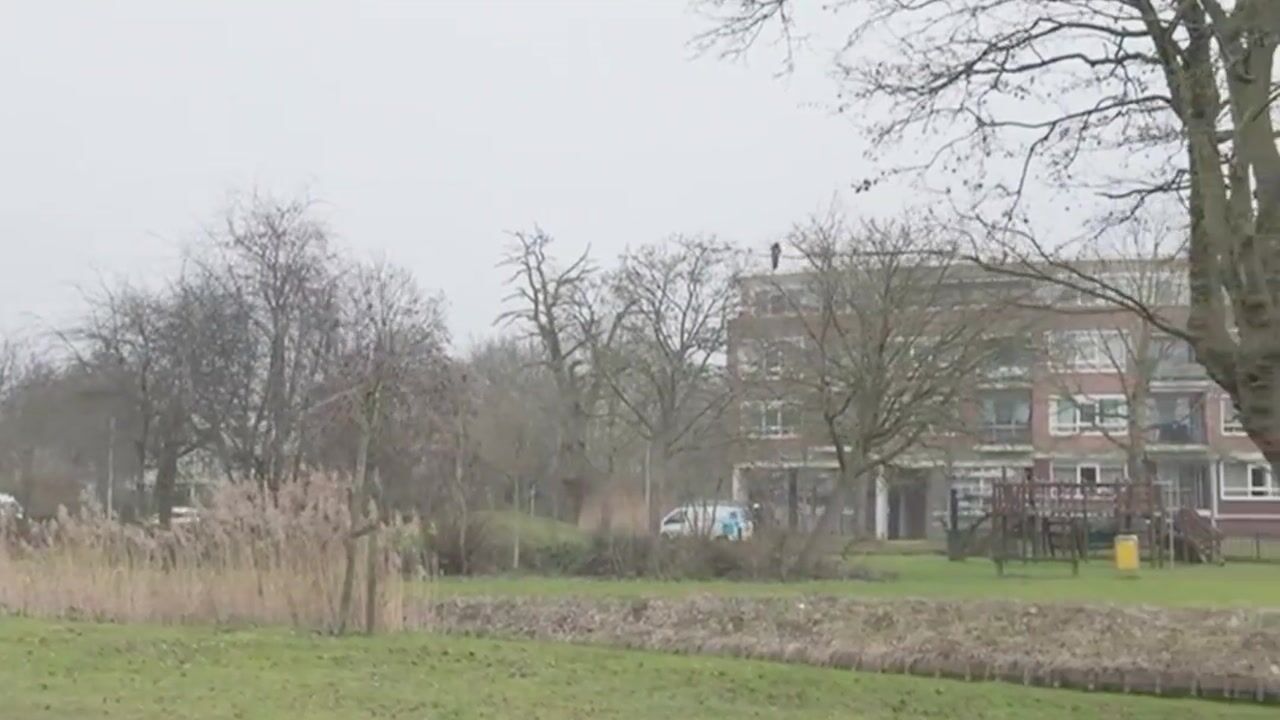 Video of Waterland 3