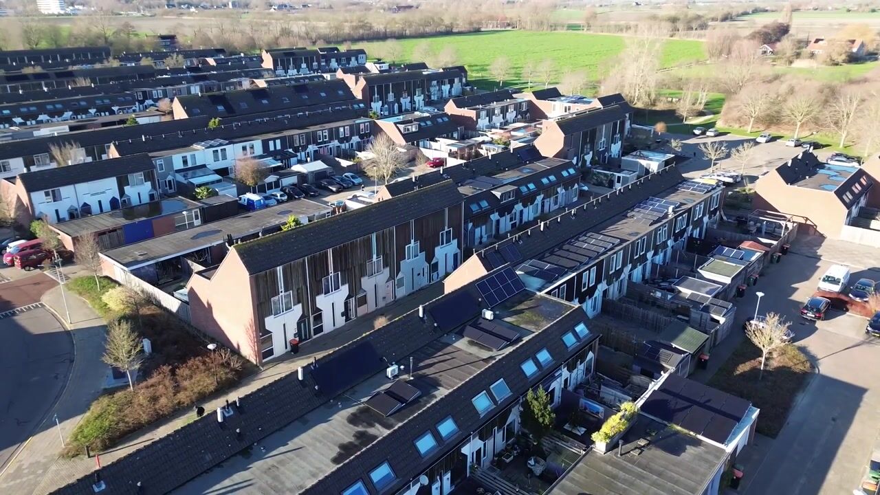 Video van Kanariesprenk 345