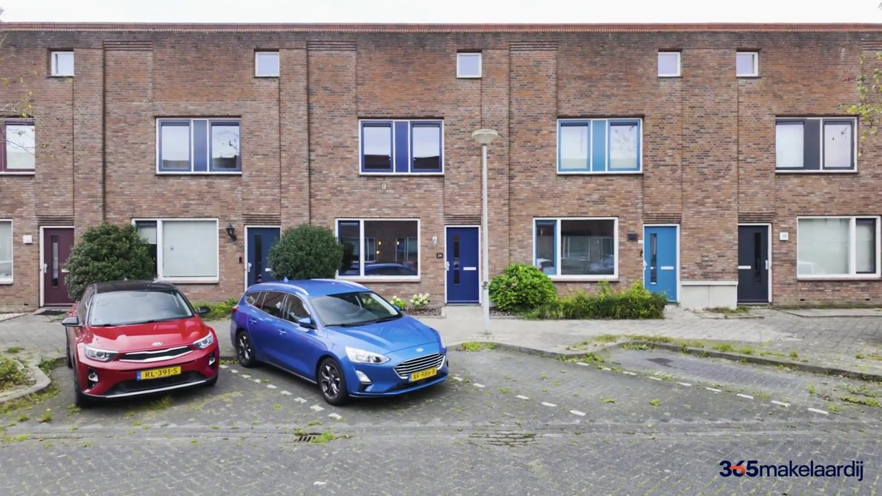 Video of Kladdewortel 24