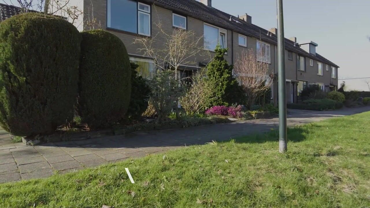 Video of Hoornbloem 53