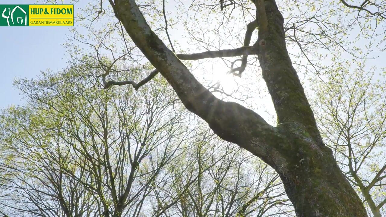 Video van Roerdomplaan 83