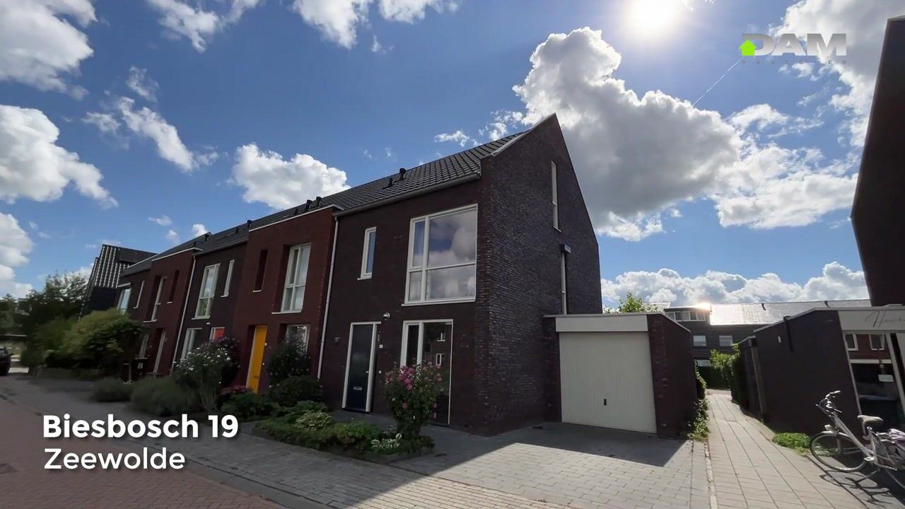 Video of Biesbosch 19