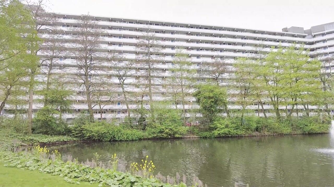 Video van Griegplein 141