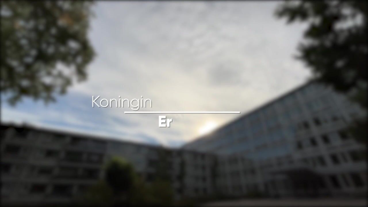 Video of Koningin Emmalaan 29-61