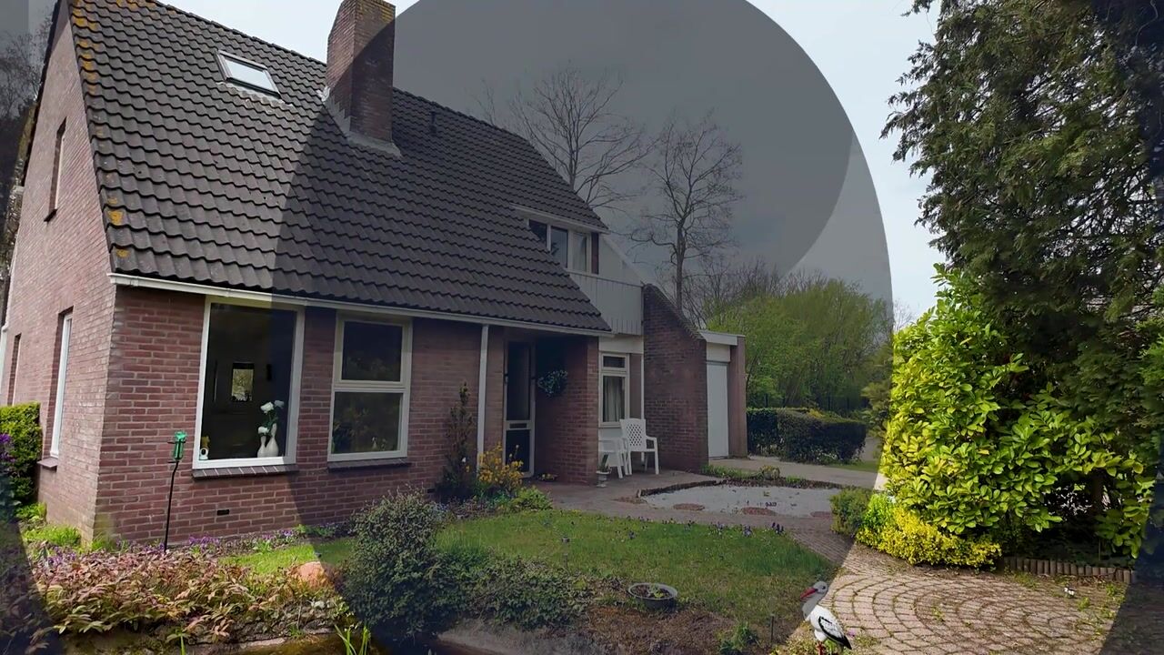 Video van Boerhoorn 1