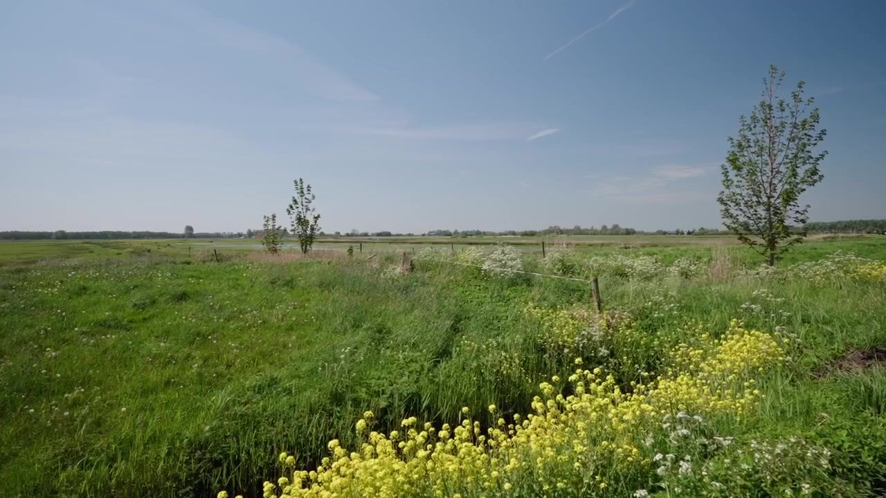 Bekijk video van Janssen-Stichting 6