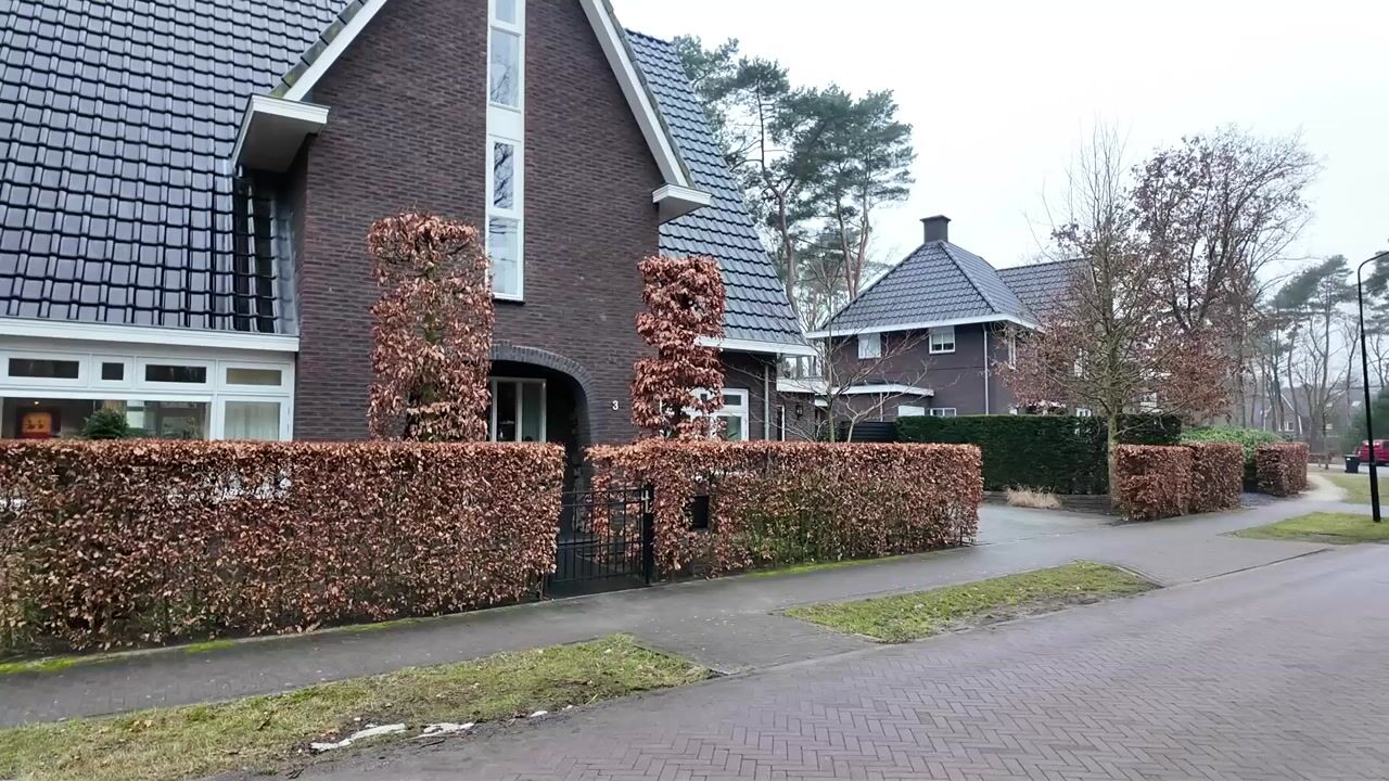 Video van Máximalaan 3